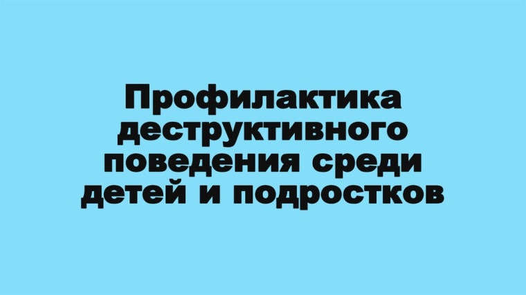 Профилактика деструктивного поведения обучающихся.